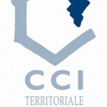 ccit2b_logo