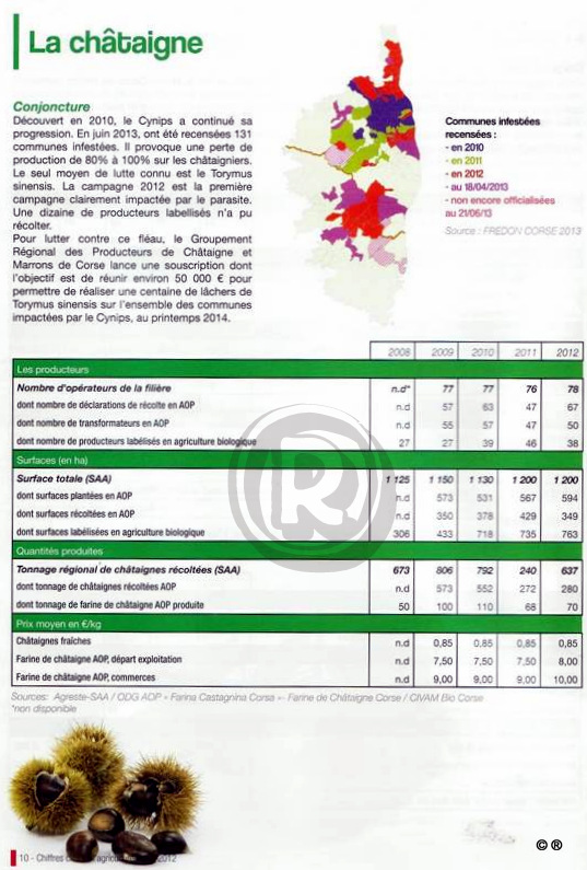 assoprodutorifarinacastgnina