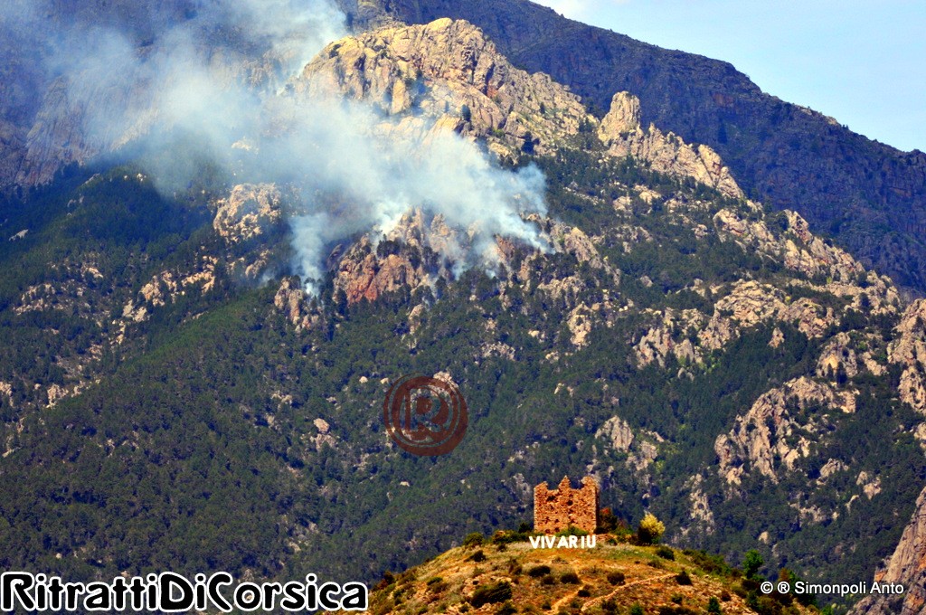 incendieVivarioVenaco (2)