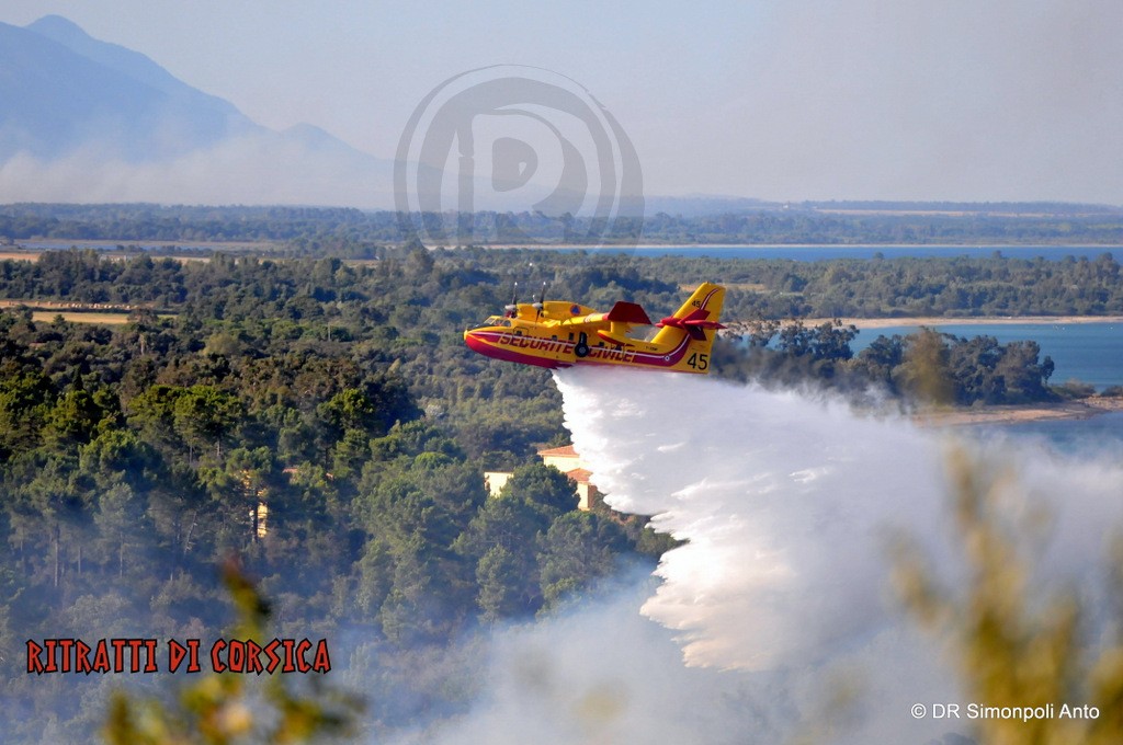 incendieSolenzaraaout2014pompierCorse (91)